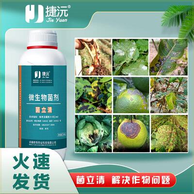 捷沅菌立清微生物菌剂新型菌剂根腐灰霉病白粉病叶斑病疫菌清同款