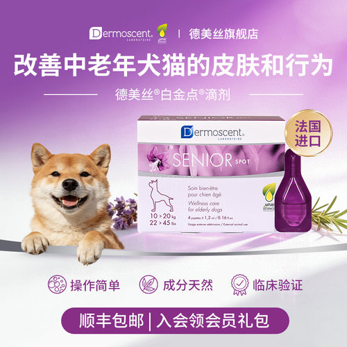 德美丝白金点滴老年犬狗