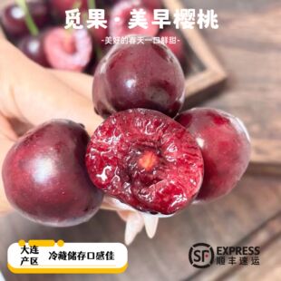 美早酸甜可口春季 时令水果 包邮 空运国货之光大连美早樱桃新鲜顺丰
