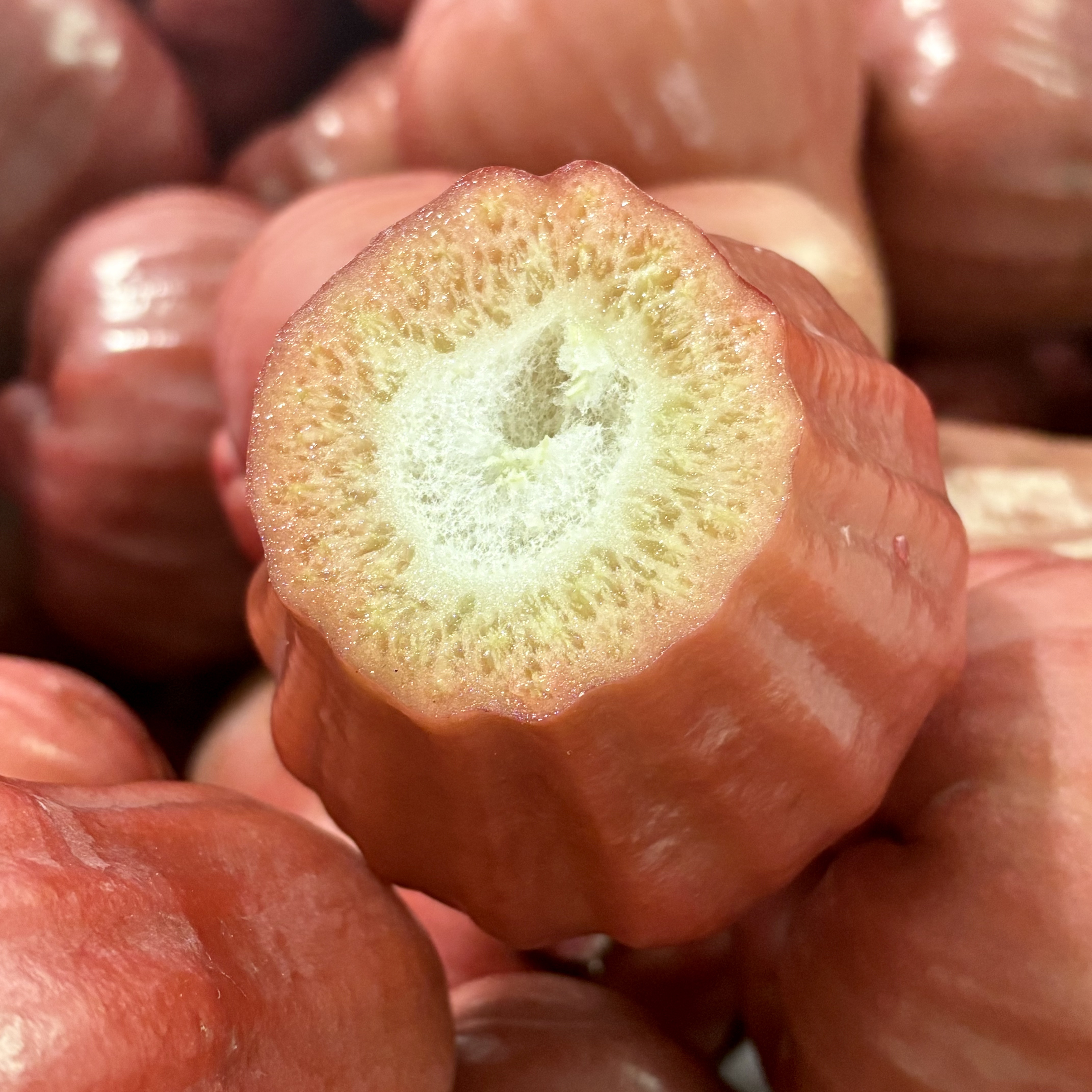 芭比莲雾脆甜多汁果味浓郁不会寡淡无味新鲜采摘福建产区