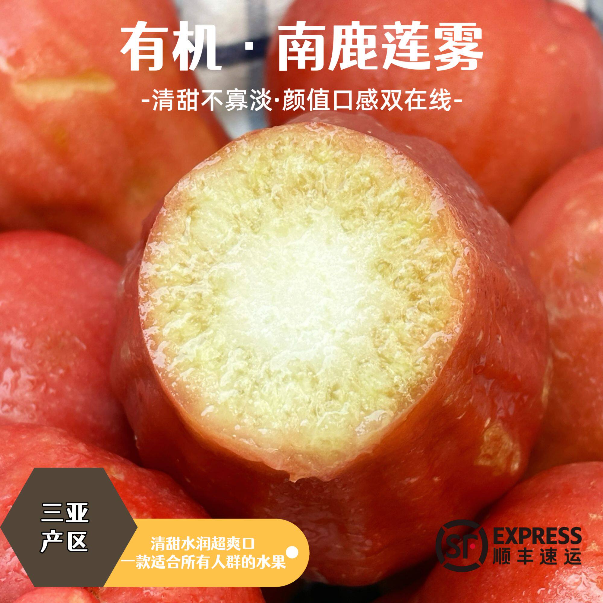 有机南鹿莲雾(一号)净重3斤家庭装三亚莲雾空运更甜更香更脆