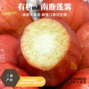 有机南鹿莲雾(一号)净重3斤家庭装三亚莲雾空运更甜更香更脆