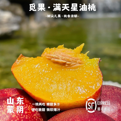 满天星油桃树上完熟纯树尖果儿桃味儿十足【推荐微软爆汁再吃