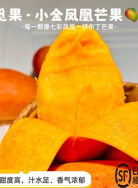 云南小金凤凰芒果树上熟香甜爆汁皮薄肉厚果核小果肉细腻无筋无丝