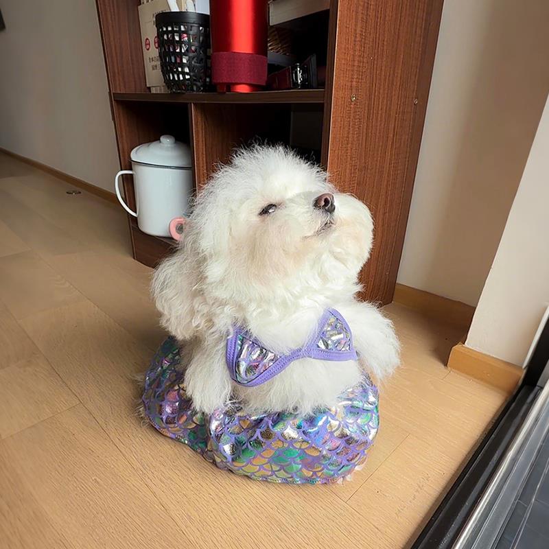 狗狗衣服夏天宠物衣服小型犬泰迪狗狗比基尼美人鱼小裙子薄款衣服