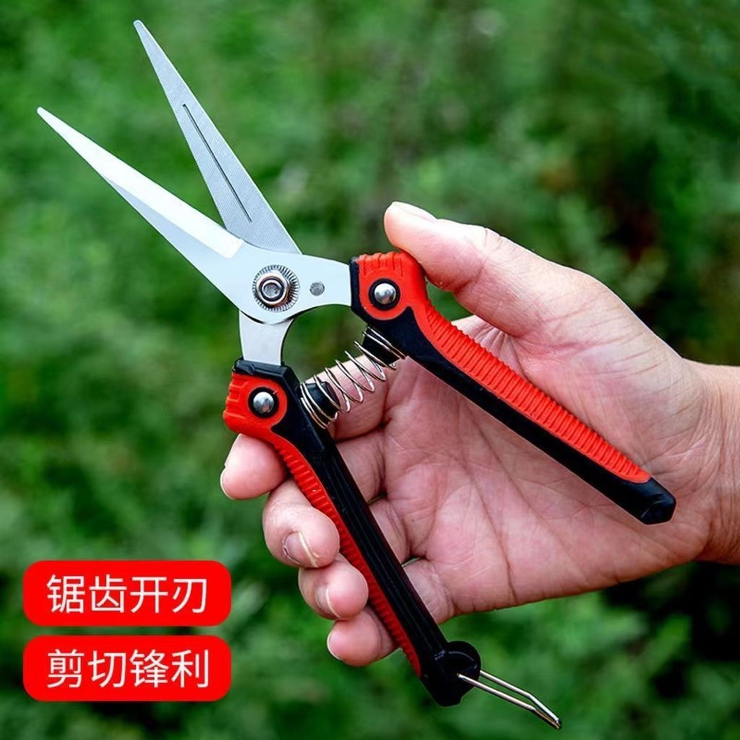 不锈钢省力修枝剪稀果剪葡萄剪采摘花椒火龙果蔬菜多功能园艺剪刀
