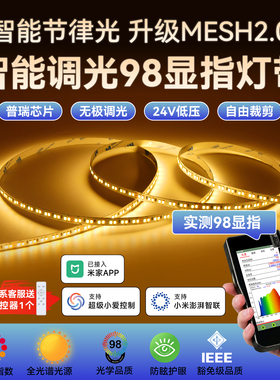 智能调光24v灯带三色变光低压led高显指双色温已接入米家App灯条