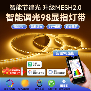 智能调光24v灯带三色变光低压led高显指双色温已接入米家App灯条