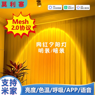 已接入米家夕阳灯嵌入式日不落射灯余辉氛围灯智能调光过道氛围灯
