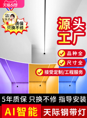 NIOYE钢带灯带玄关过道灯走廊明装LED阳台钢丝灯网红极简天际线灯