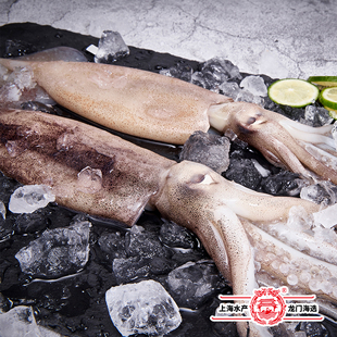 阿根廷鱿鱼（原条）400g/袋 深海鱿鱼整只大鱿鱼