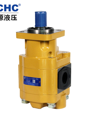 合肥长源液压齿轮油泵CBGTC2080-BLH 合肥长源液压股份有限公司