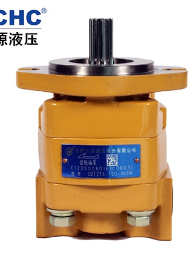 合肥长源液压齿轮油泵CBTZTA-F20-ALΦ 合肥长源液压齿轮泵厂家