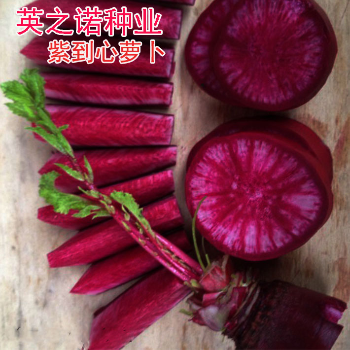 蔬菜种子高产水果阳台盆栽红萝卜