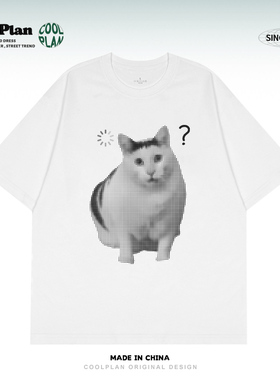 疑惑猫咪网点印花短袖T恤女夏季宽松白色黑白表情包半袖