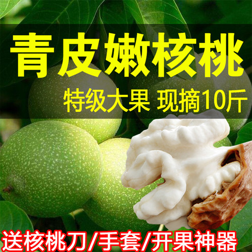 2026农家青皮核桃新鲜10斤现摘