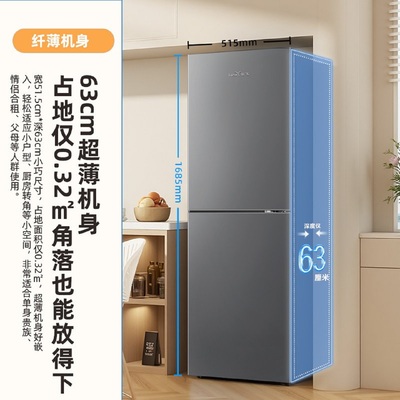 Frestec/新飞BCD-245WK2AT双门冰箱245L风冷无霜除菌净味2级节能