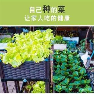 楼顶阳台户外花槽种菜盆绿色种菜神器屋顶庭院加厚省空间塑料家庭