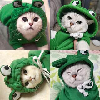 猫咪衣服秋冬装狗狗布偶英短小猫宠物可爱搞笑衣服冬天保暖防掉毛