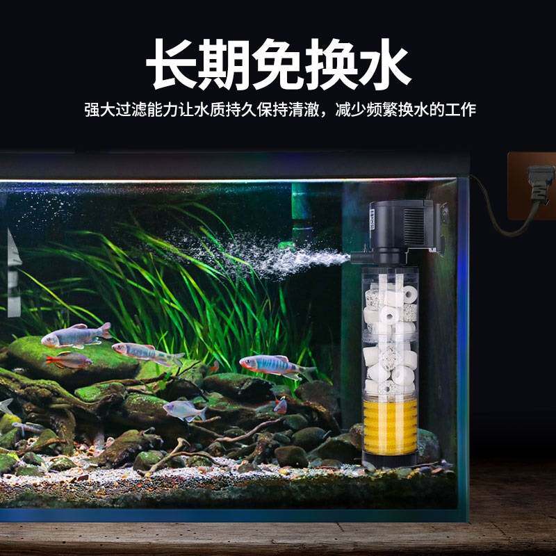 鱼马桶鱼粪便收集器鱼缸粪便分离器自动鱼缸吸便器过滤桶水族清便
