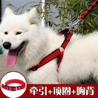 萨摩耶幼犬专用狗链子德牧项圈法牛泰迪拉布拉多狗狗牵引绳栓狗绳