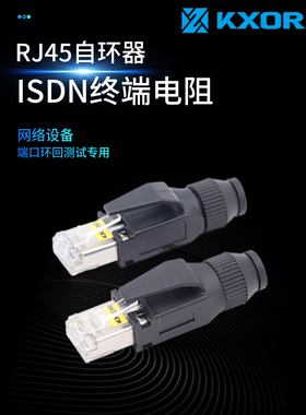 RJ45水晶头KVM网络端口自环回器终止器ISDN终端电阻万兆通讯终结器电阻10N7405 39M2912 42R5143 TERMINATOR