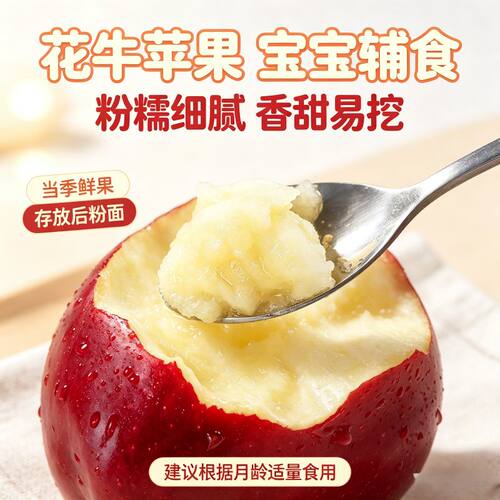 正宗甘肃花牛苹果当季现摘粉面香甜新鲜水果宝宝辅食面苹果