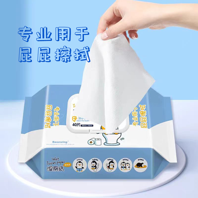 海氏海诺湿厕纸家庭实惠装便携小包男士女性专用孕妇儿童迷你