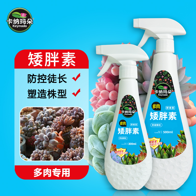 卡纳玛朵矮胖素多肉防控徒长控型