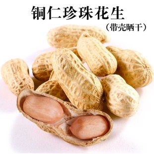 贵州梵净山特产铜仁带壳珍珠小花生500g生的红皮珍珠花生米