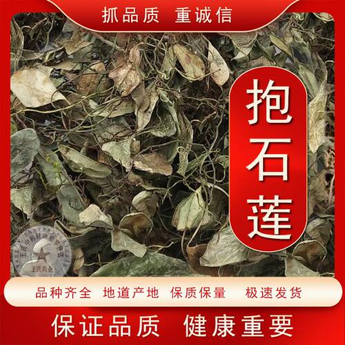 抱石莲中药材 抱石连 抱树莲 瓜子菜 优质瓜米菜 飞连草晒干无硫