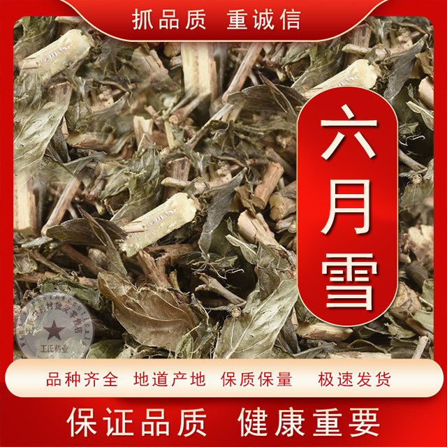 500克新货六月雪 中药材野生