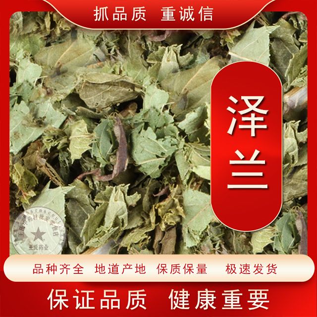 泽兰中药材正品无硫泽兰地道无杂质泽兰草野生新货泽兰泽兰泽兰