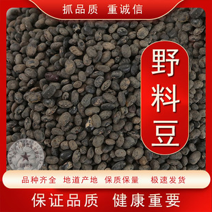 中药材店铺 野料豆 马料豆 零乌豆 天然野生小黑料豆 正品包邮
