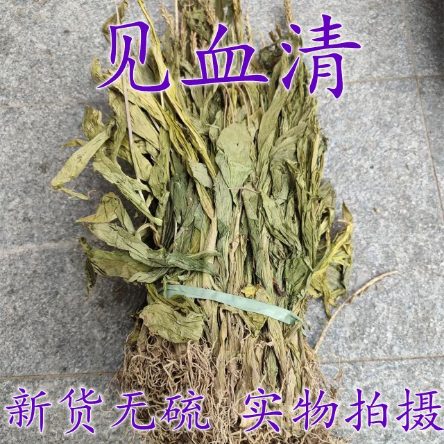 见血清中药材 整株全草 特级250克包邮食用 见血青 羊耳蒜 立地好