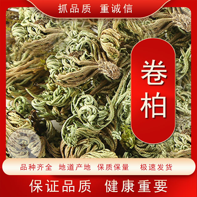 中药材卷柏不死草九死还魂草石柏