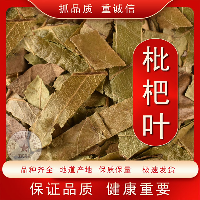 中药材 枇杷叶 枇杷叶茶 琵琶叶 批把叶 杷叶 巴叶 包邮
