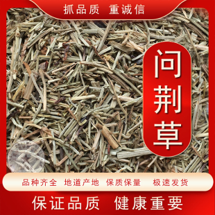 中药材问荆、问荆草、节节草、接续草、接骨草、空心草、骨节草