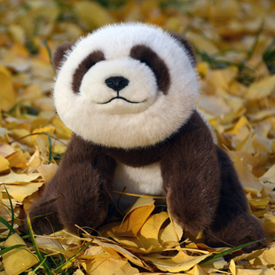 仿真趴趴熊猫公仔毛绒玩具白棕色小小猫玩偶布娃娃趴款 熊儿童礼物