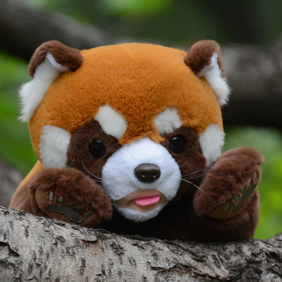 小熊猫公仔PP棉仿真可爱