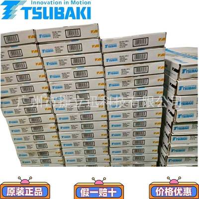 RS16B-1-RP-U120Links10ft/3.048m链条