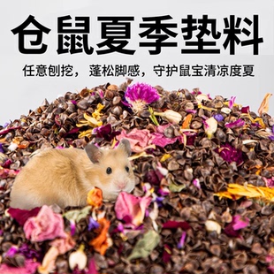 仓鼠垫料生物酶荞麦砂沙壳夏季 降温垫料金丝熊夏日除臭透气无尘