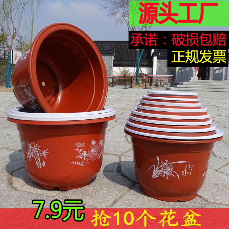 新款大绿萝厂家直销育苗批发花盆