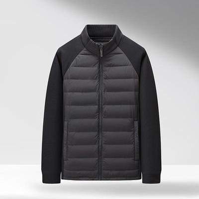 青少年秋冬装轻薄立领白鸭绒羽绒服内胆男孩初中学生超火校服神器