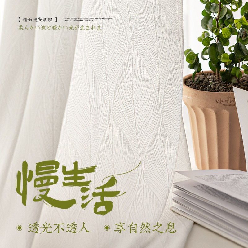 白色纱帘透光不透人窗帘客厅飘窗阳台窗纱白纱防窥2025新款夏季沙