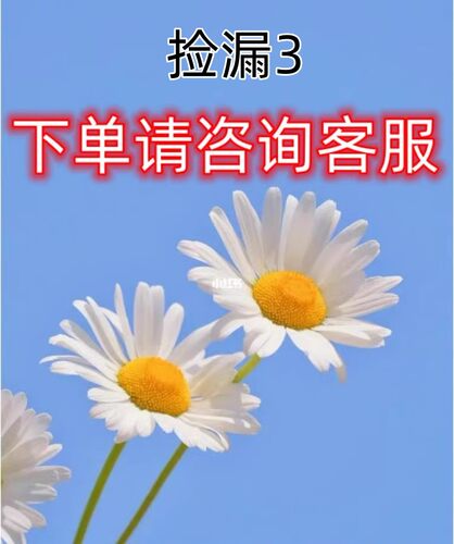 捡漏3