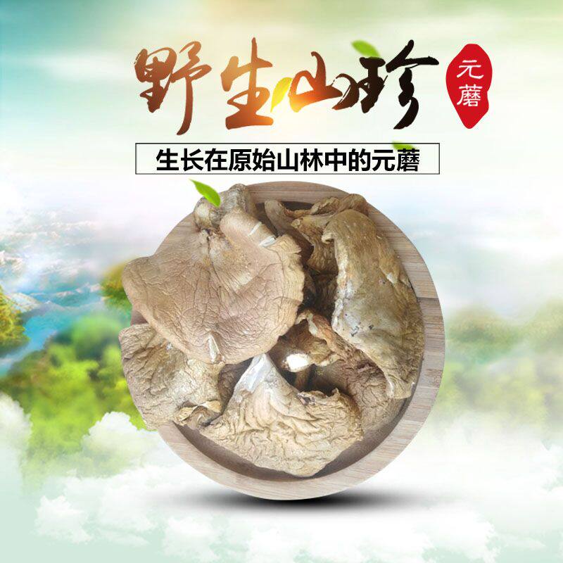 东北特产蘑菇250g新货小鸡