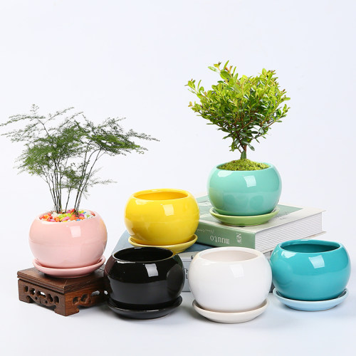 陶瓷多肉小花盆圆形桌面绿植透气