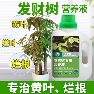 发财树营养液肥料专用肥室内盆栽植物活力素专治叶子发黄掉叶烂根