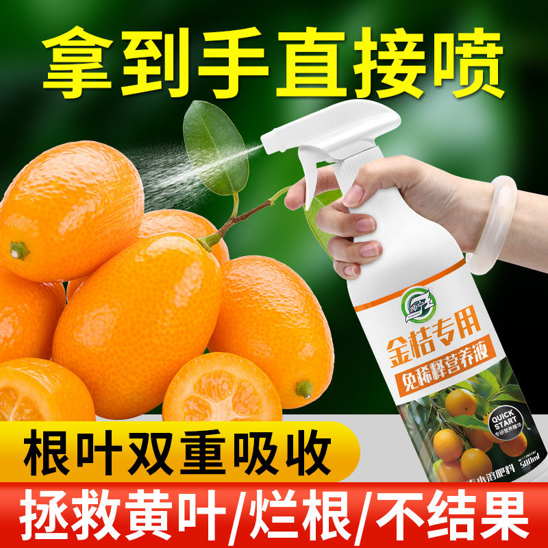 金桔免稀释营养液专用肥料改善黄叶脱落活力增产促结果催根液体肥,鲜花速递/花卉仿真/绿植园艺,家庭园艺肥料,淘宝优惠券,粉丝福利购,淘宝优惠卷